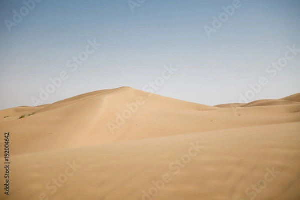 Obraz Sad Dunes