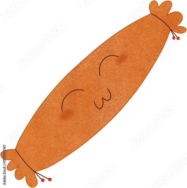 Obraz orange long pillow