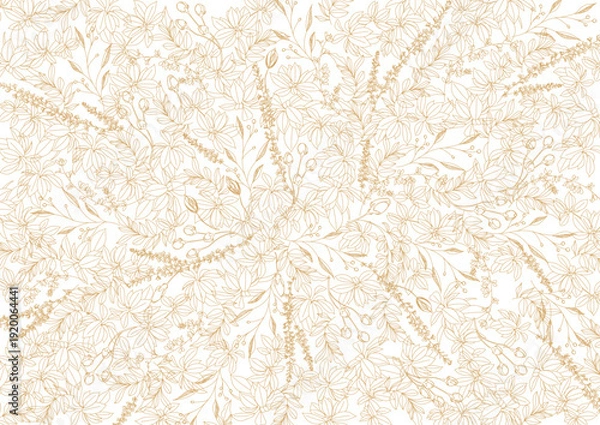 Obraz 美しい植物のボタニカル背景素材　線画、ナチュラル