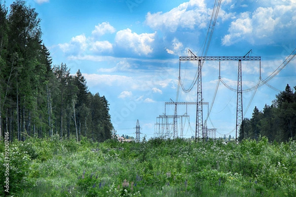 Fototapeta The poles of power lines in the forest zone in summer sunny weather, against the background of green trees and a bright blue sky with clouds.