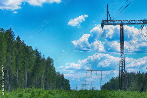 Fototapeta The poles of power lines in the forest zone in summer sunny weather, against the background of green trees and a bright blue sky with clouds.