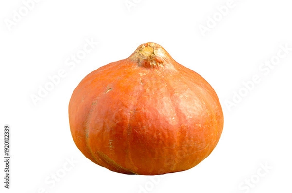 Obraz Orange pumpkin isolated on white background