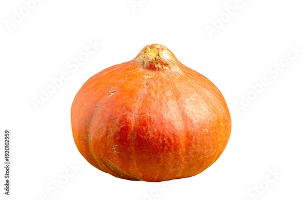 Obraz Orange pumpkin isolated on white background