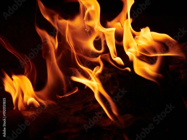 Obraz 暗闇の夜で激しく燃える炎の形