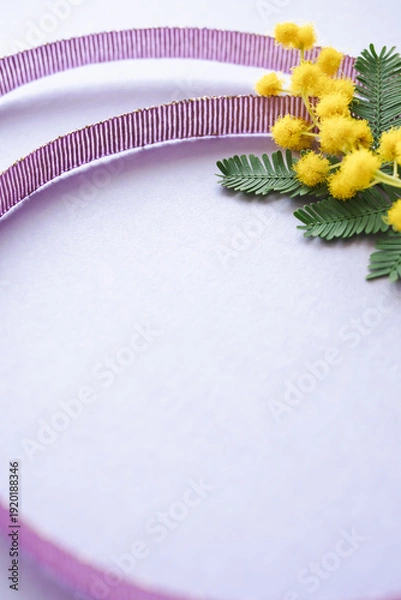 Obraz ミモザと紫色のリボンの背景素材　国際女性デーのイメージカラー