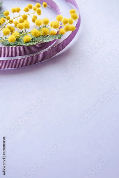 Obraz ミモザと紫色のリボンの背景素材　国際女性デーのイメージカラー