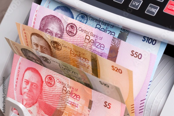 Obraz Belizean Dollars in the counting machine