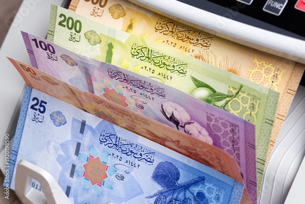 Obraz Syrian Pound in a counting machine