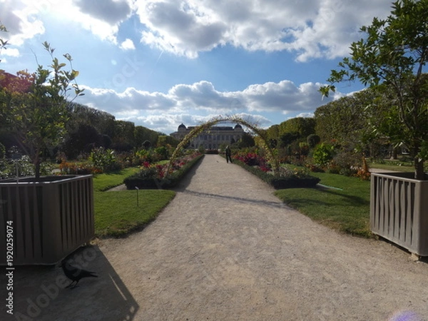 Obraz jardin des plantes