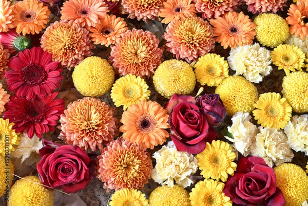 Obraz 別小江神社