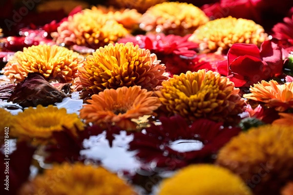 Obraz 別小江神社