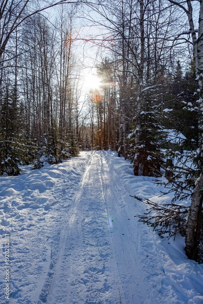 Obraz  Dim polar sun.