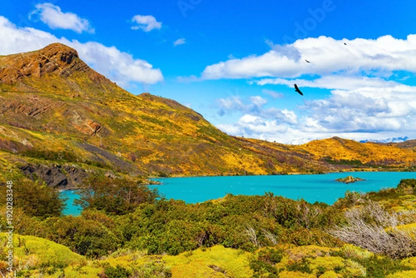 Obraz  The water is very cold.