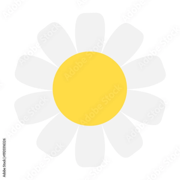 Obraz White Daisy Flower Vector Icon