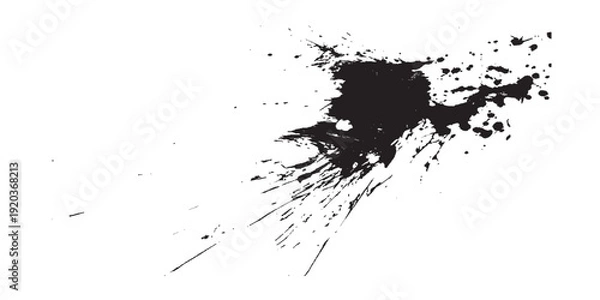 Obraz Abstract Black Ink Splatter and Splash on White Background.