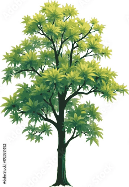 Obraz Tree with green leaves