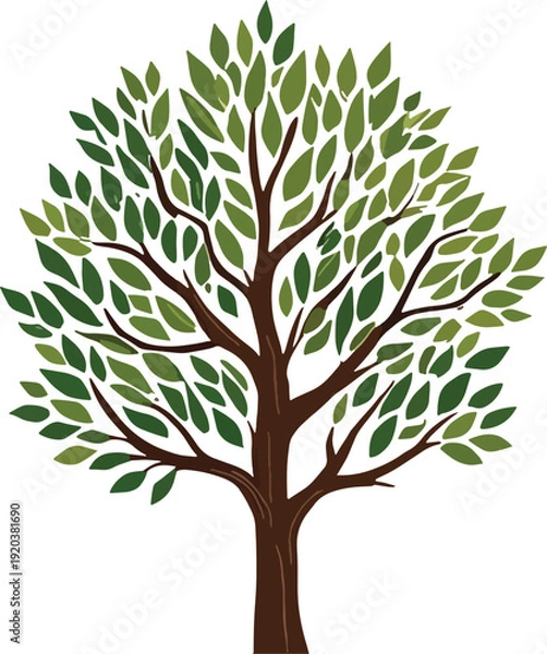 Obraz Tree with green leaves