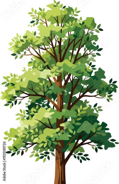 Obraz Tree with green leaves