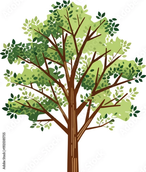 Obraz Tree with green leaves