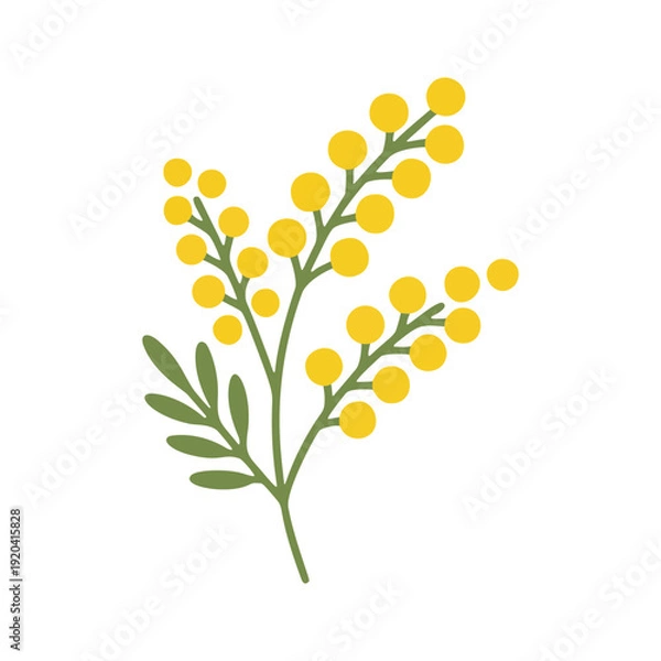 Obraz シンプルなミモザのカラーアイコン	