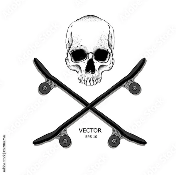 Obraz Skull and Bones. An image of the skull and skateboards. Can be used for printing on T-shirts, flyers, etc. Vector illustration
