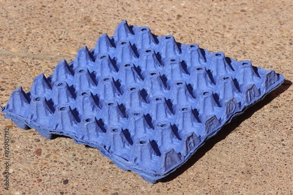 Fototapeta An empty blue egg carton