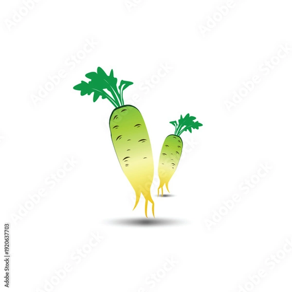 Obraz Fresh White Radish