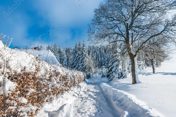 Fototapeta Winterwunderland