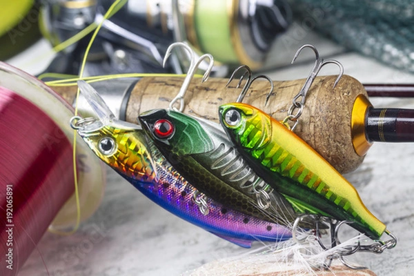 Obraz spinnind fishing set