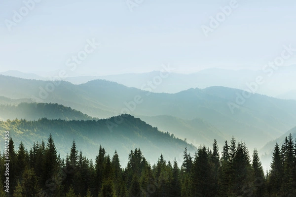 Fototapeta Majestic landscape of summer mountains. A view of the misty slopes of the mountains in the distance. Morning misty coniferous forest hills in fog and rays of sunlight. Travel background.