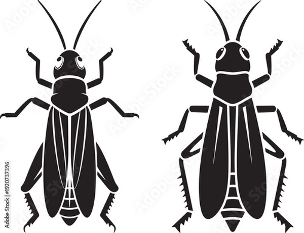 Fototapeta Two grasshoppers insects top view