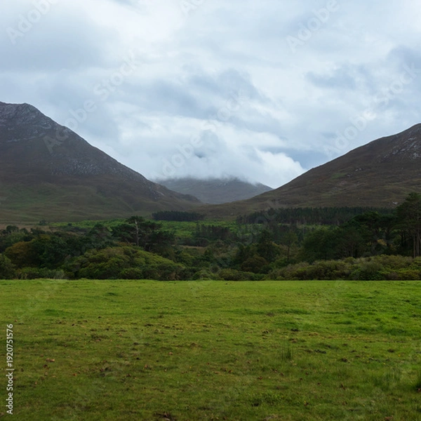 Obraz Irish hills landscape