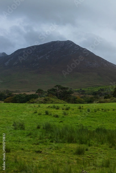 Obraz Irish hills landscape