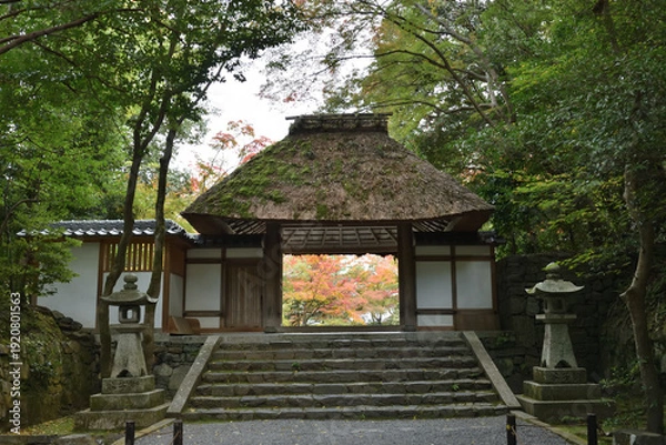 Obraz 法然院　秋の山門(京都市左京区)