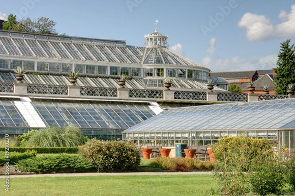 Fototapeta serre du jardin botanique de copenhague