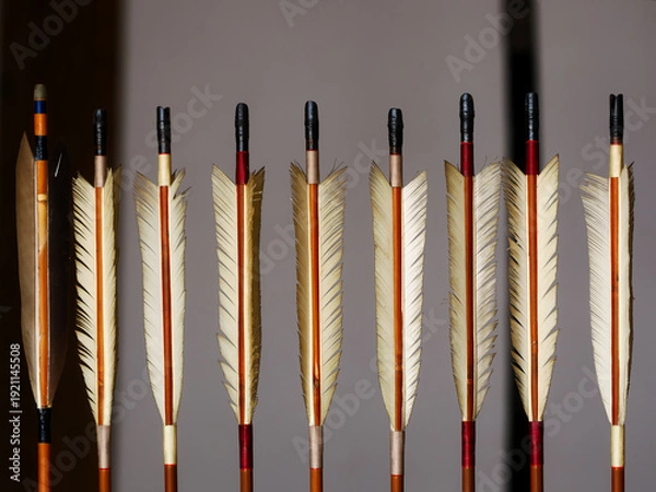 Obraz 弓矢の矢羽根