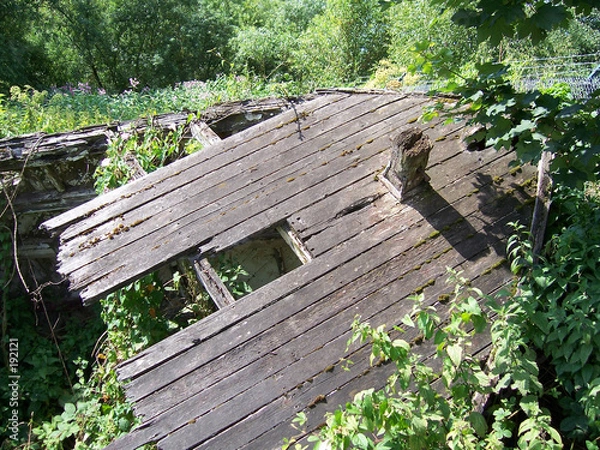 Obraz tumbledown shack