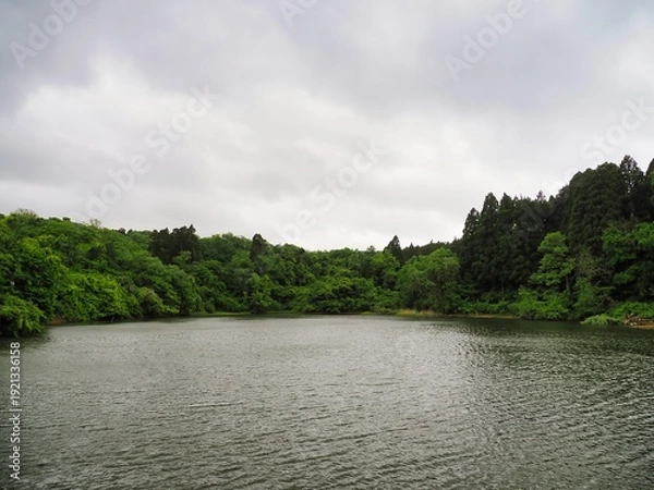 Obraz 曇り空の広い池、風景