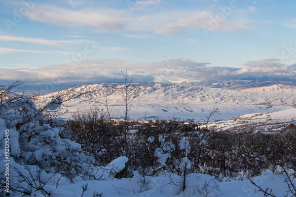 Fototapeta winter nature