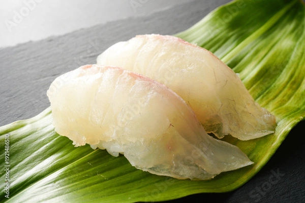 Obraz 握り寿司 　鯛