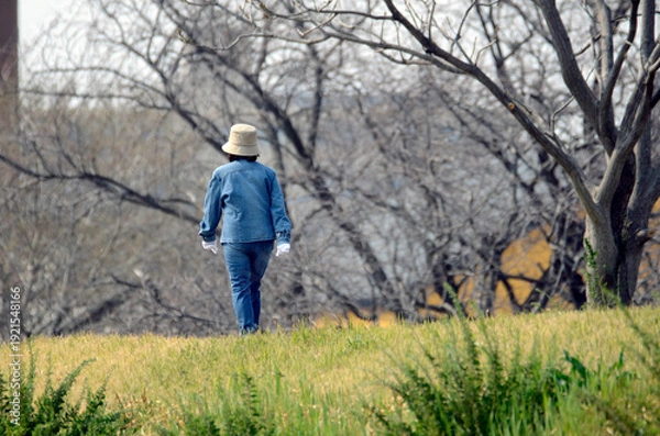 Obraz 散歩する女性