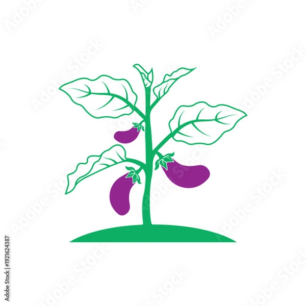 Obraz Eggplant logo vector icon illustration design