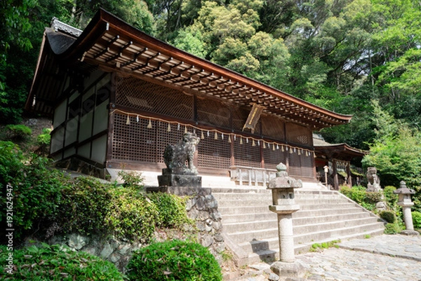 Obraz 宇治上神社 本殿