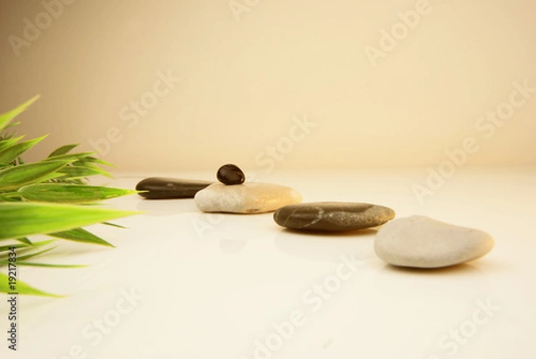 Fototapeta blanc et noir