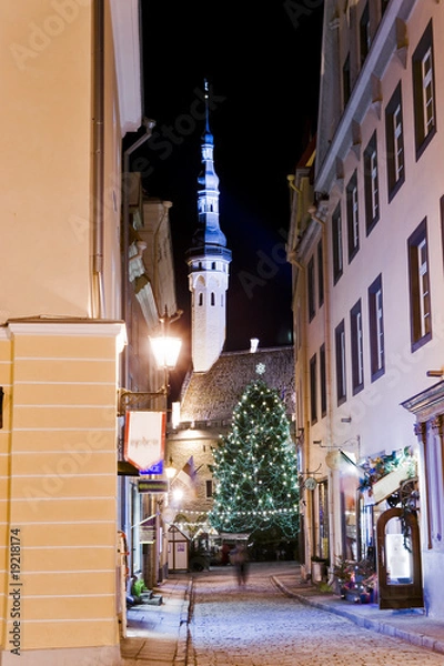 Obraz Town hall and decorated fir tree shortly before Christmas
