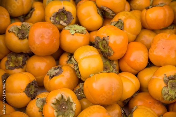 Obraz Persimmons