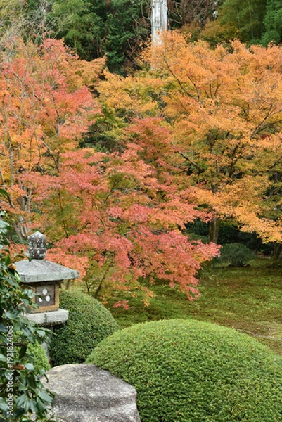 Obraz 秋の雲龍院　灯籠の見える境内中庭(京都市東山区)