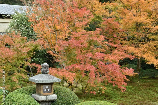 Obraz 秋の雲龍院　灯籠の見える境内中庭(京都市東山区)