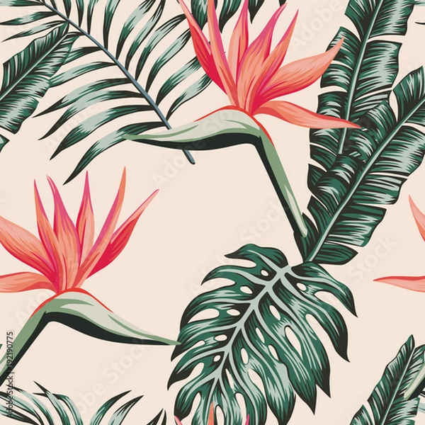 Fototapeta Bird of paradise leaves green color tropical seamless pattern