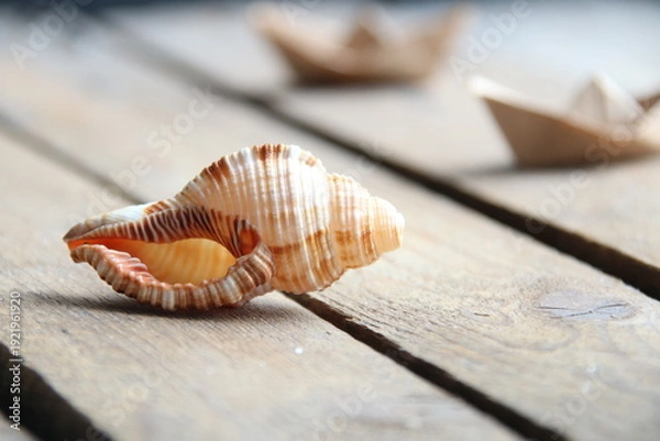 Obraz Seashell on a wooden background. Summer time concept.